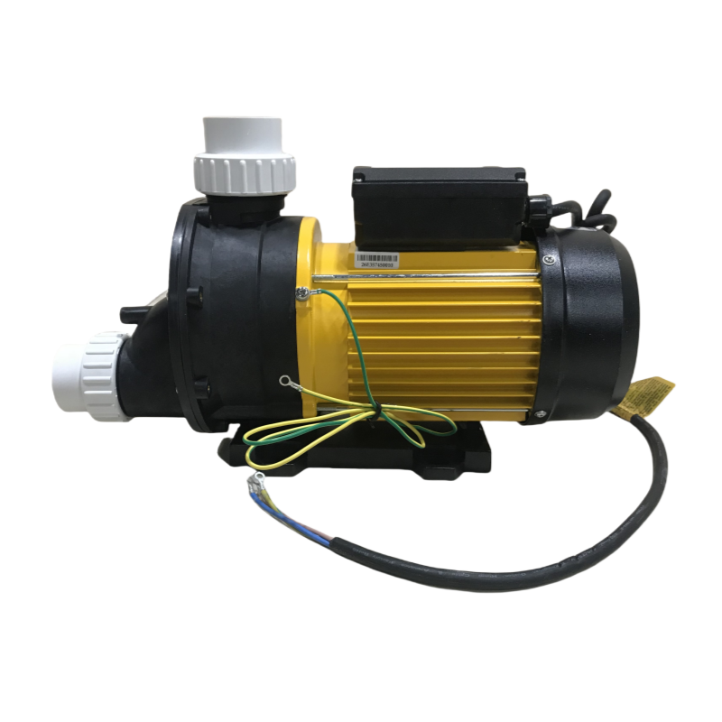 High Quality Swimming TDA Pool Pumps Pre